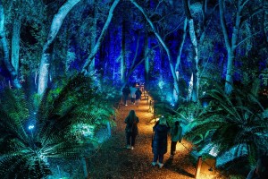 Lightswitch evolves “Enchanted: Forest of Light” with expanded Elation lighting package