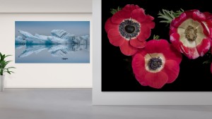 LG und Blackdove bringen Kunst auf LED-Signage-Displays