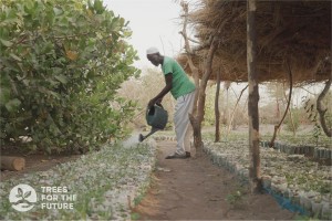 Kooperation zwischen Cordial und „Trees For The Future“