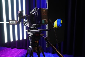 Arri and ROE Visual disclose test program