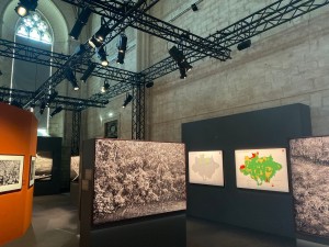 Amazônia Exhibition at Palais des Papes illuminated with Chauvet